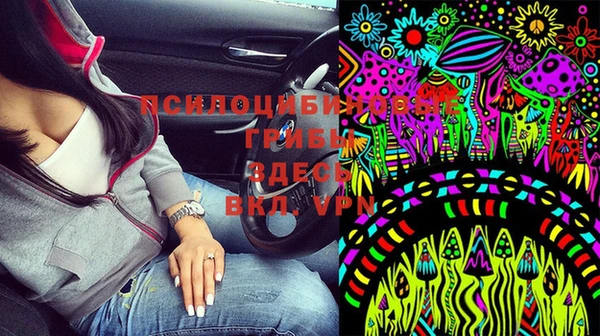 а пвп мука Алексеевка