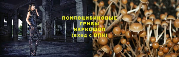 меф Алзамай