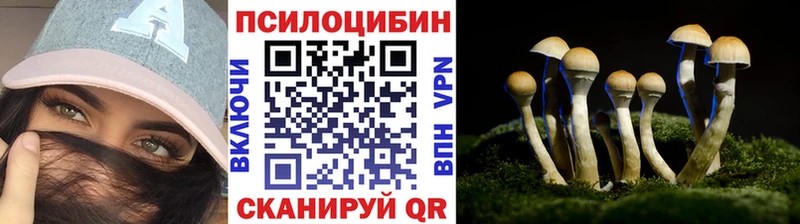 Галлюциногенные грибы Cubensis  Анадырь 